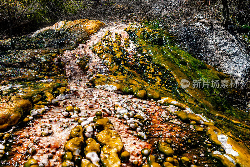 梯级梯田和Terracettes, Orakei Korako地热公园和洞穴，隐藏山谷，新西兰陶波